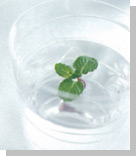 [安心できる水]アルカリイオン整水器