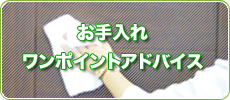 お手入れワンポイントアドバイス