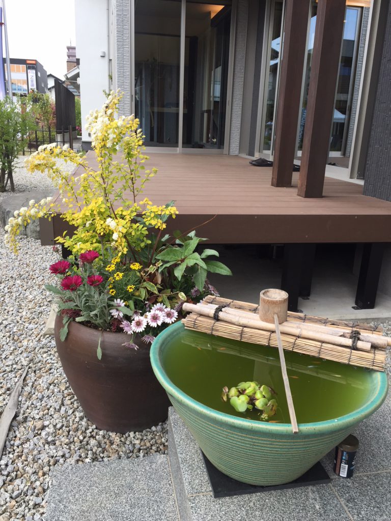 仲間が増えました 新築住宅ならウッドホーム 仲間が増えました 新築住宅ならウッドホーム